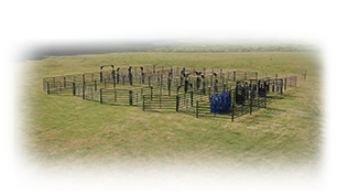 RSOSCS_3 Rough Stock Open Corral System